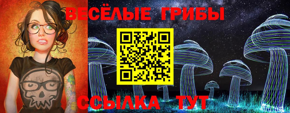 Псилоцибиновые грибы мухоморы Вятские Поляны